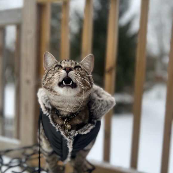 Meet your Posher, Rue! - Picture 2 of 2